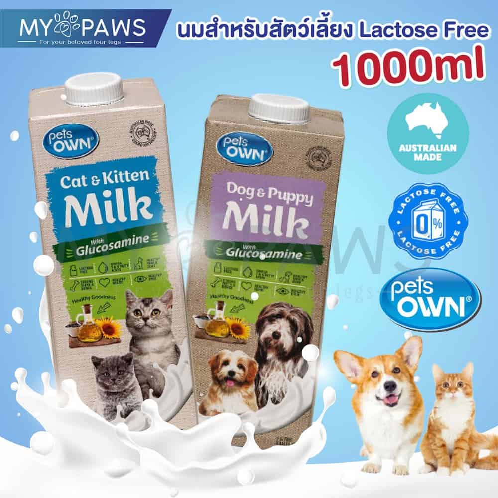Pets Own นมพร้อมดื่มสำหรับลูกแมว จากประเทศออสเตรเลีย