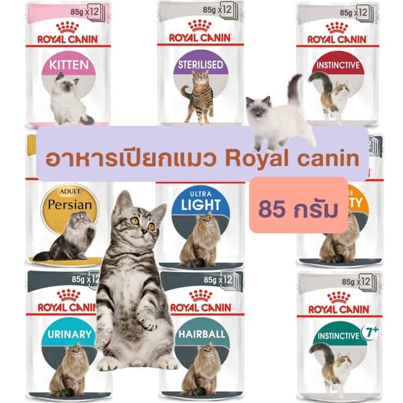 Royal Canin อาหารแมวเปียก