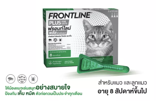 Frontline Plus (ฟรอนท์ไลน์ พลัส) ยาหยอดหมัดแมว