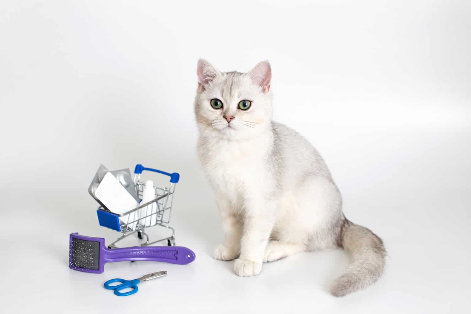 White cat sits on a white background with a shopping trolley full of pills and medicines.