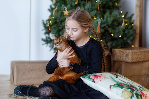 Abyssinian with kid