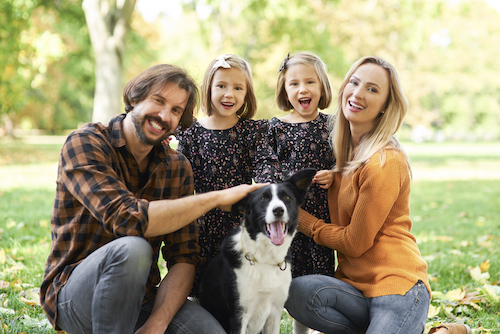 Collie with family
