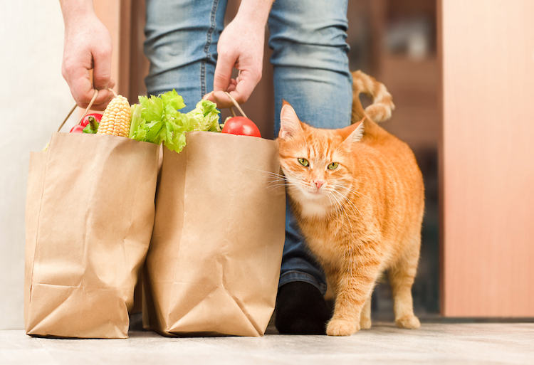 สิ่งที่ควรพิจารณาในการเลือกซื้ออาหารแมวสูตรลดก้อนขน